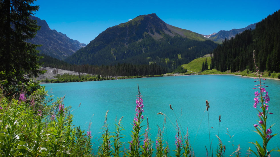 View Lake And Mountain In Swiss Mountain