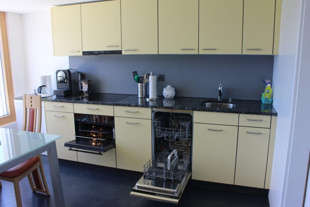 Küche mit Backofen und Geschirrspüler - Ferienwohnung Försterhaus Dalin